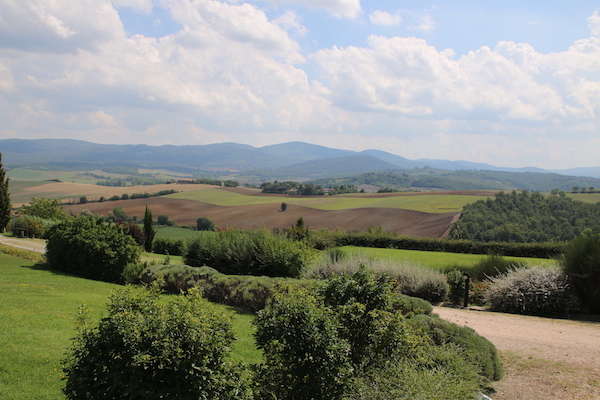 Panoramic view of our garden in the Tuscan hills