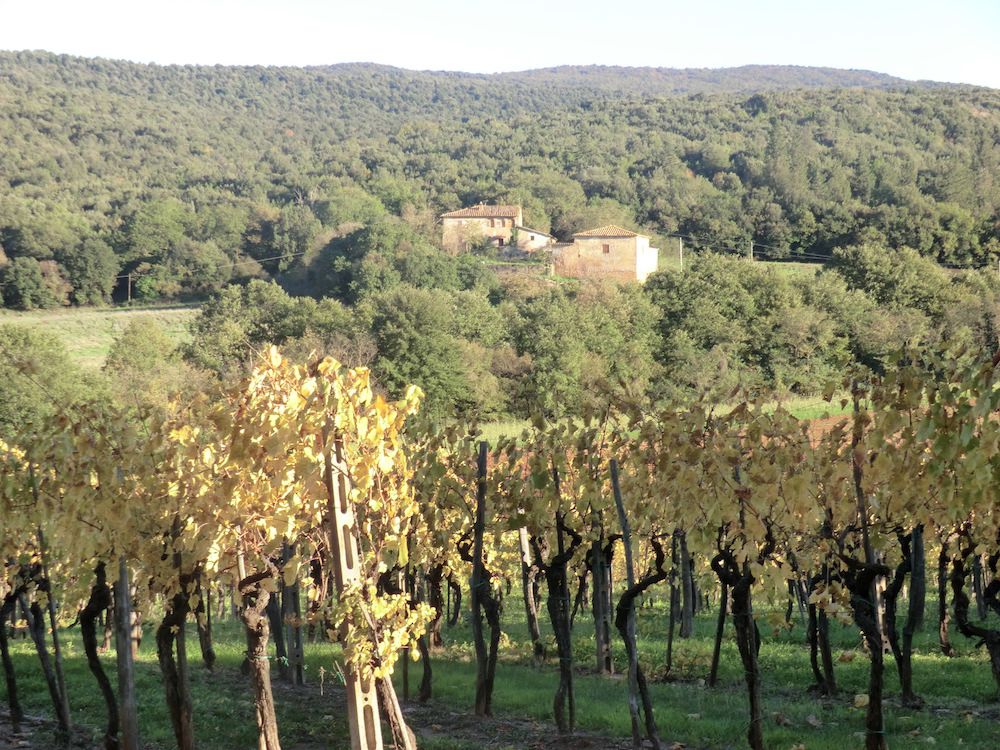Dintorni 5