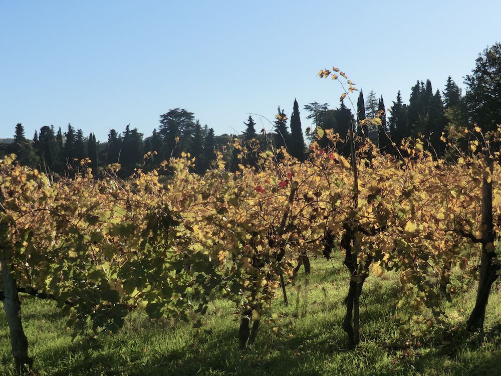 Dintorni 9