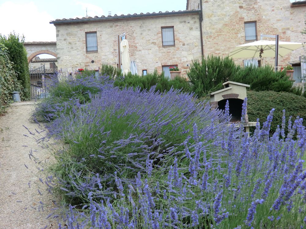 Giardino 3
