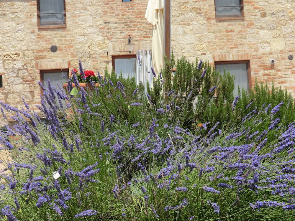 Giardino 2