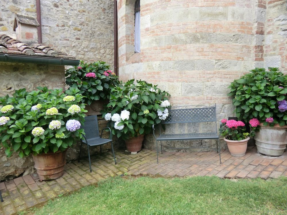 Giardino 4