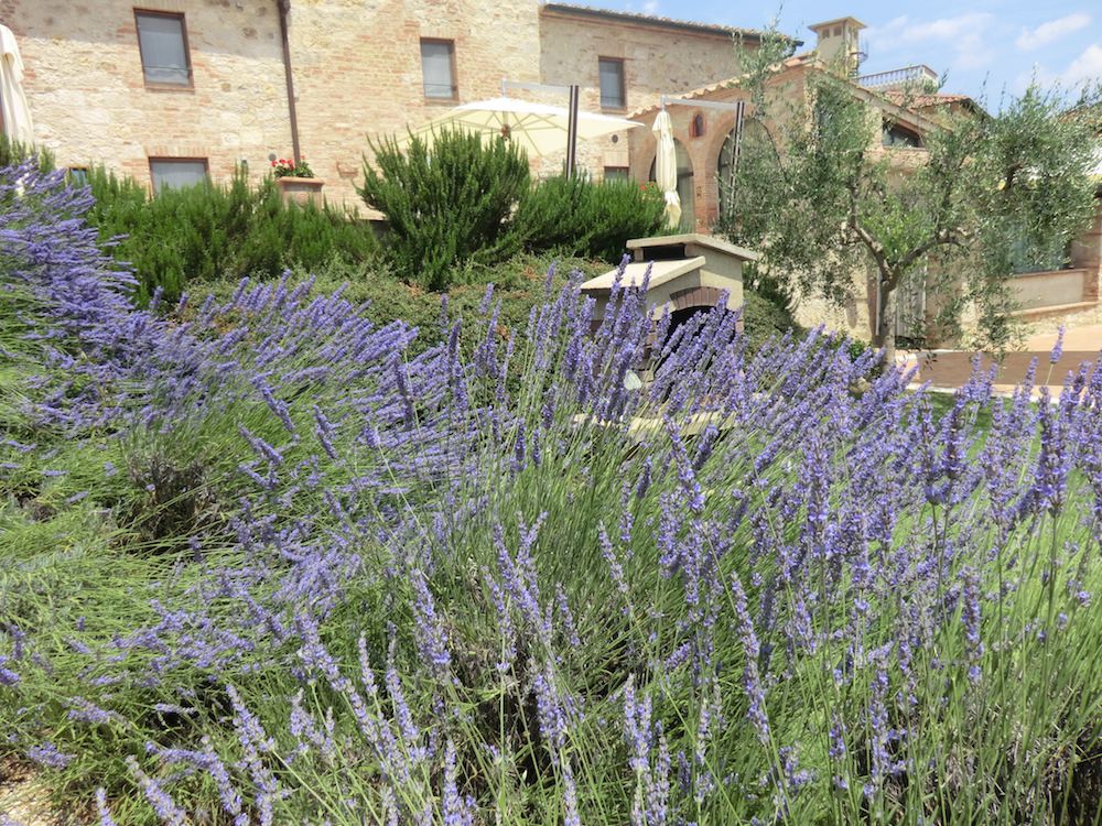 Giardino 5