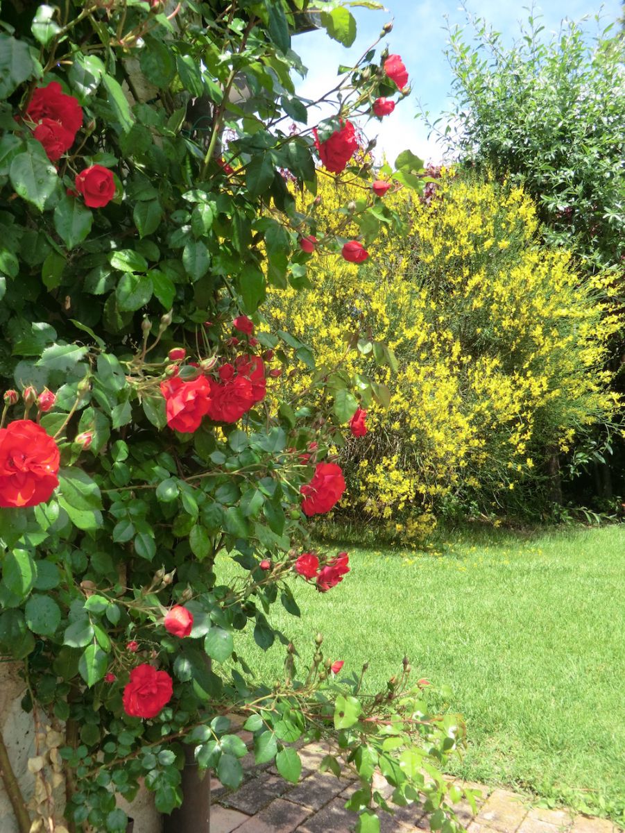 Giardino 6