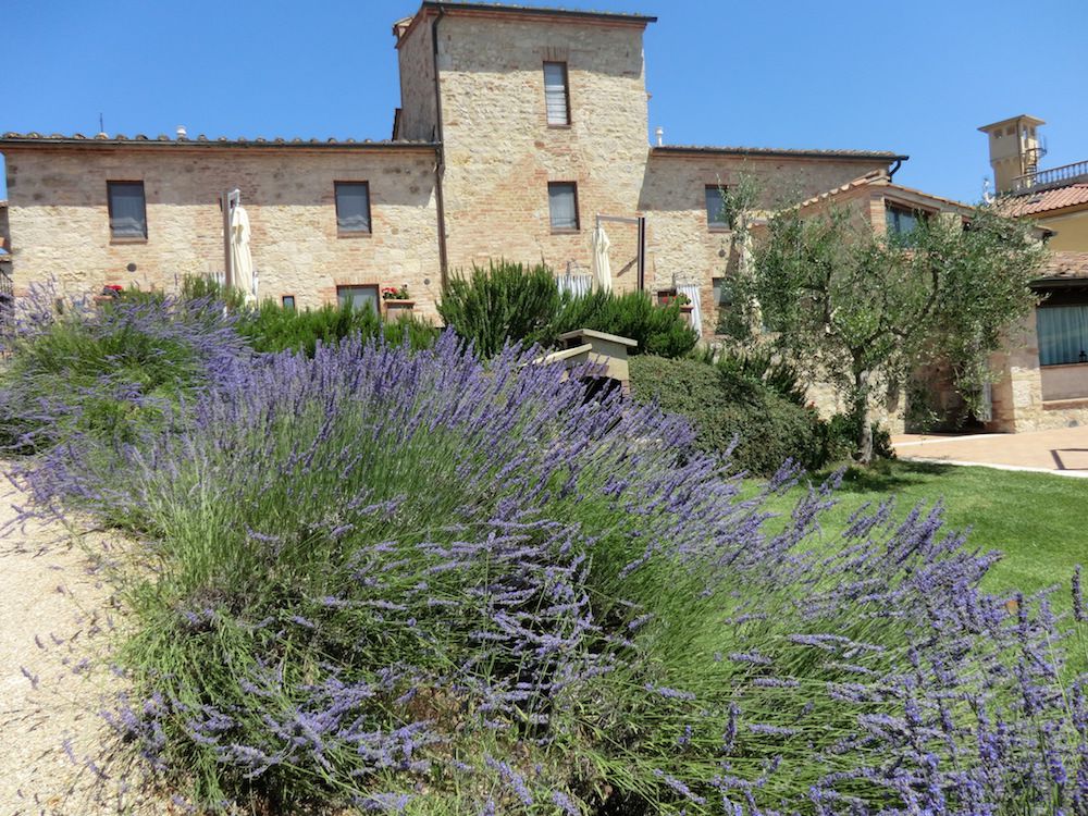 Giardino 8