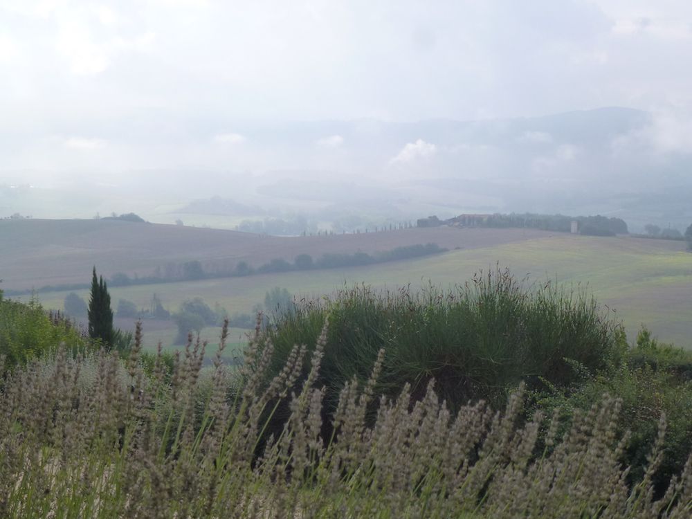 Panorama 3