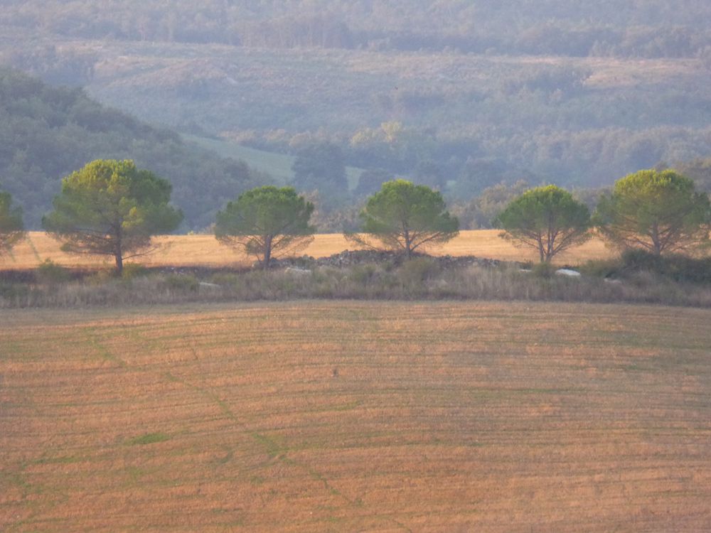 Panorama 6