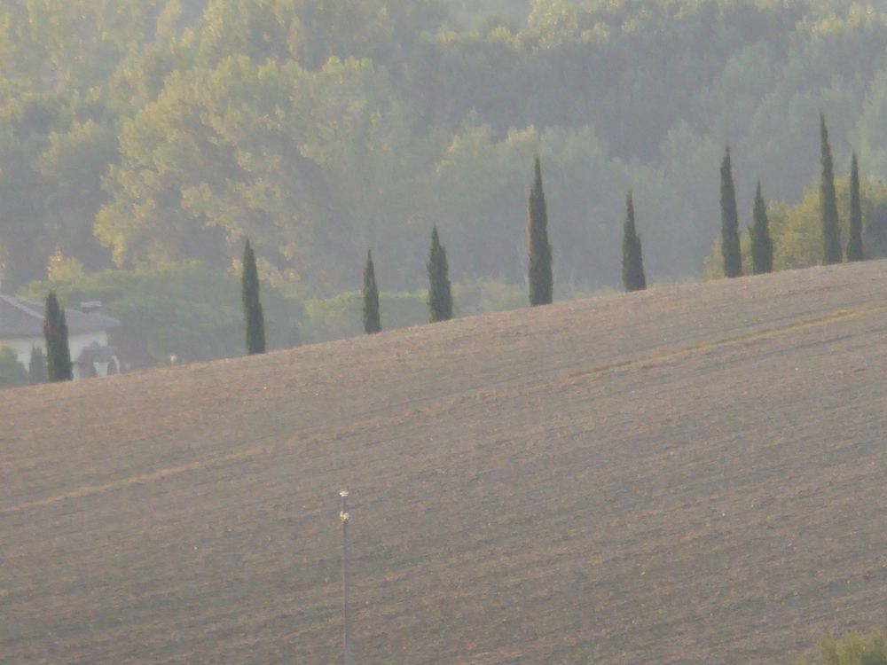 Panorama 7