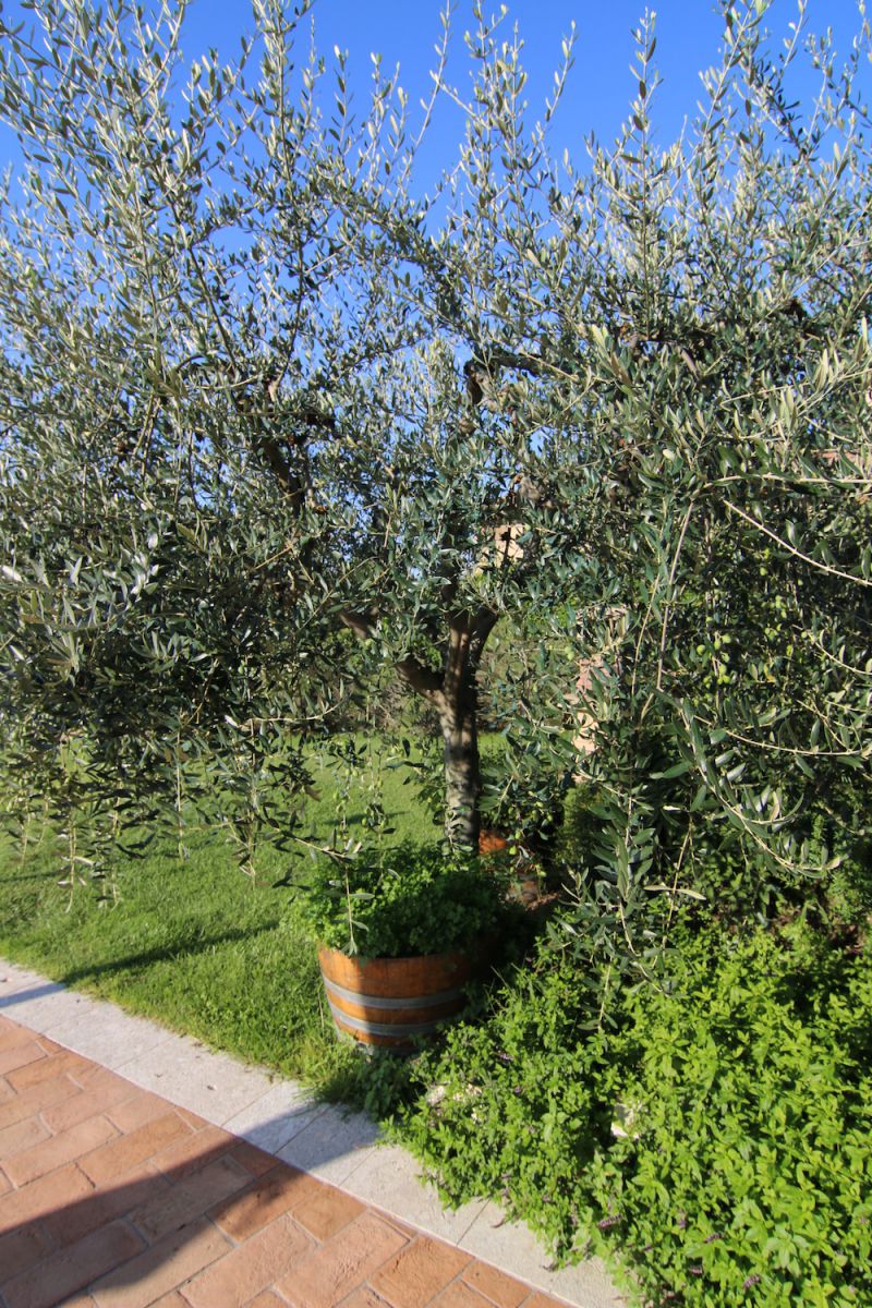 Dettagli 5