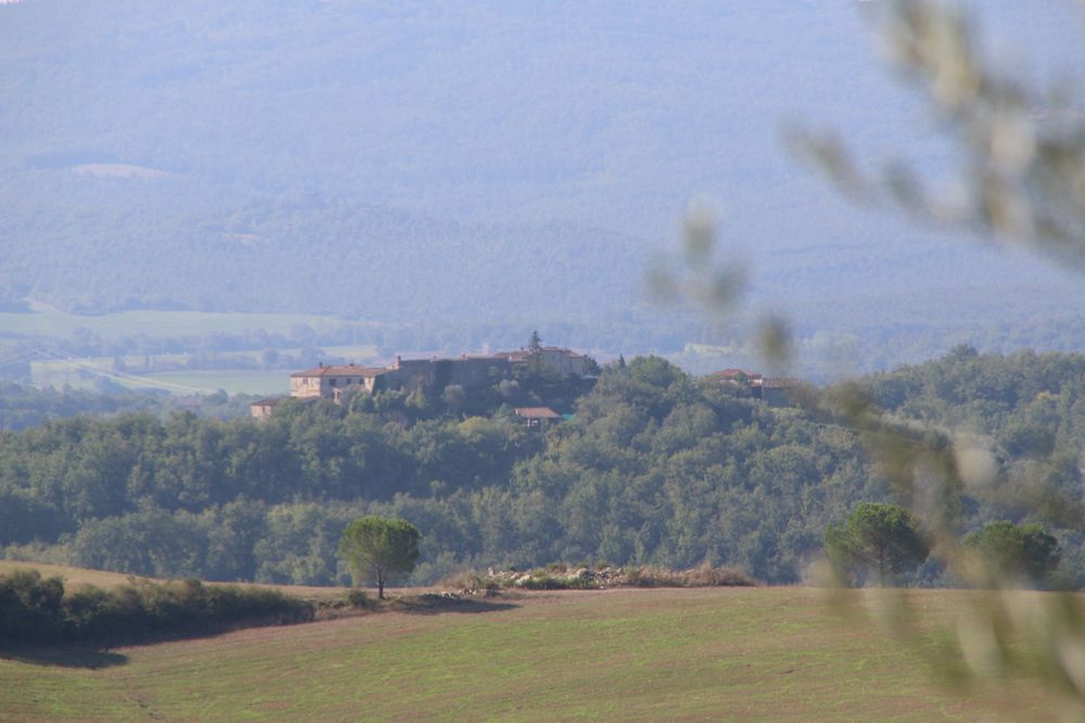 Panorama 9