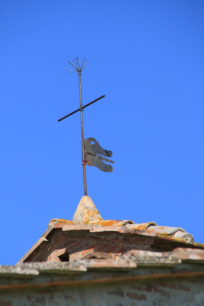 Dettagli 14