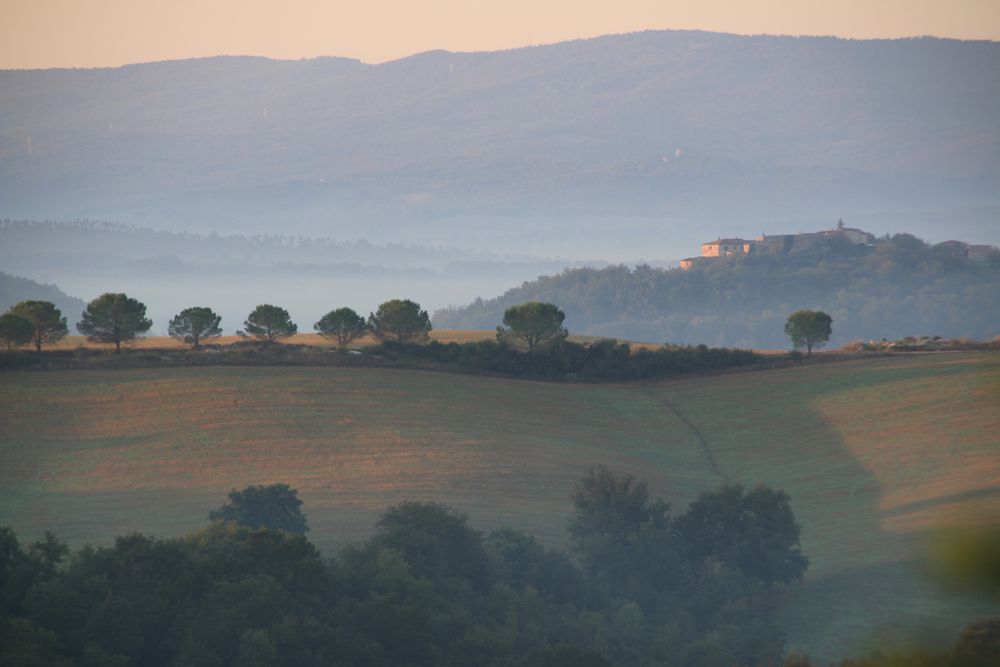 Panorama 11