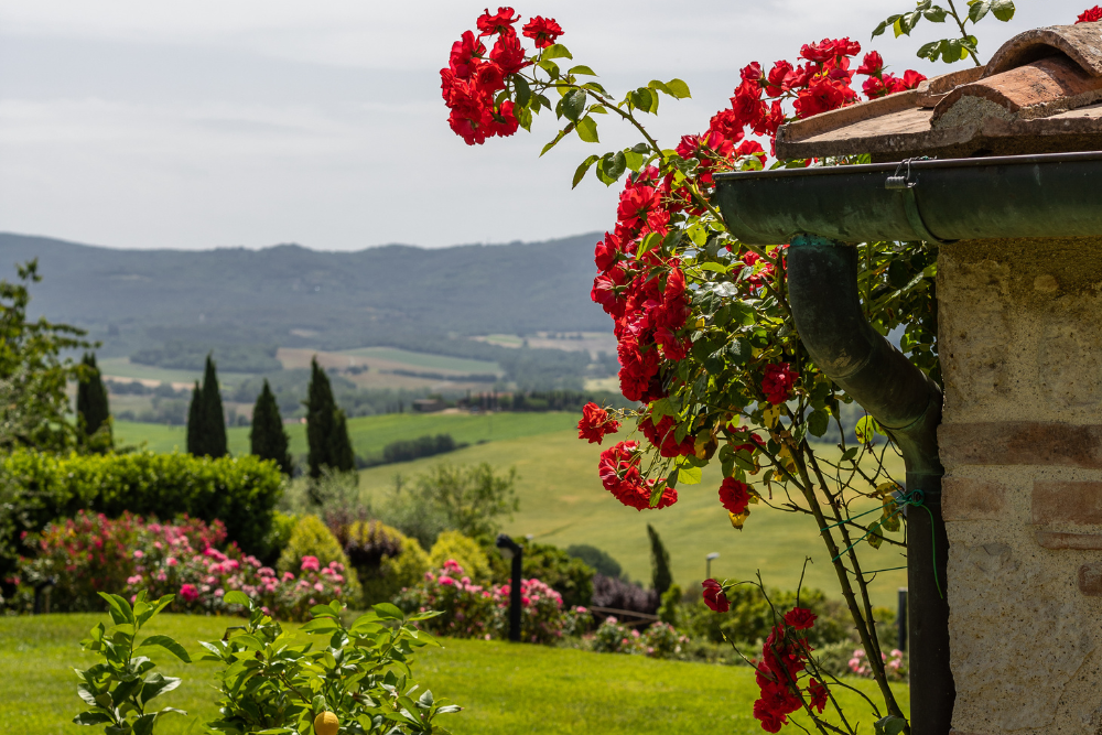 Giardino 9