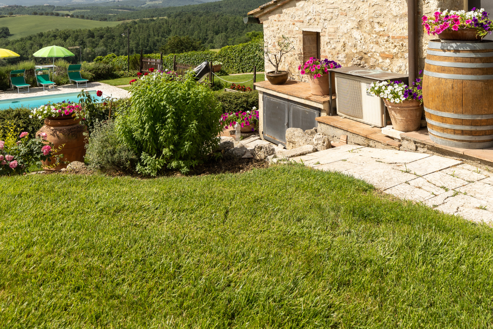 Giardino 12